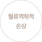 혈류역학적손상